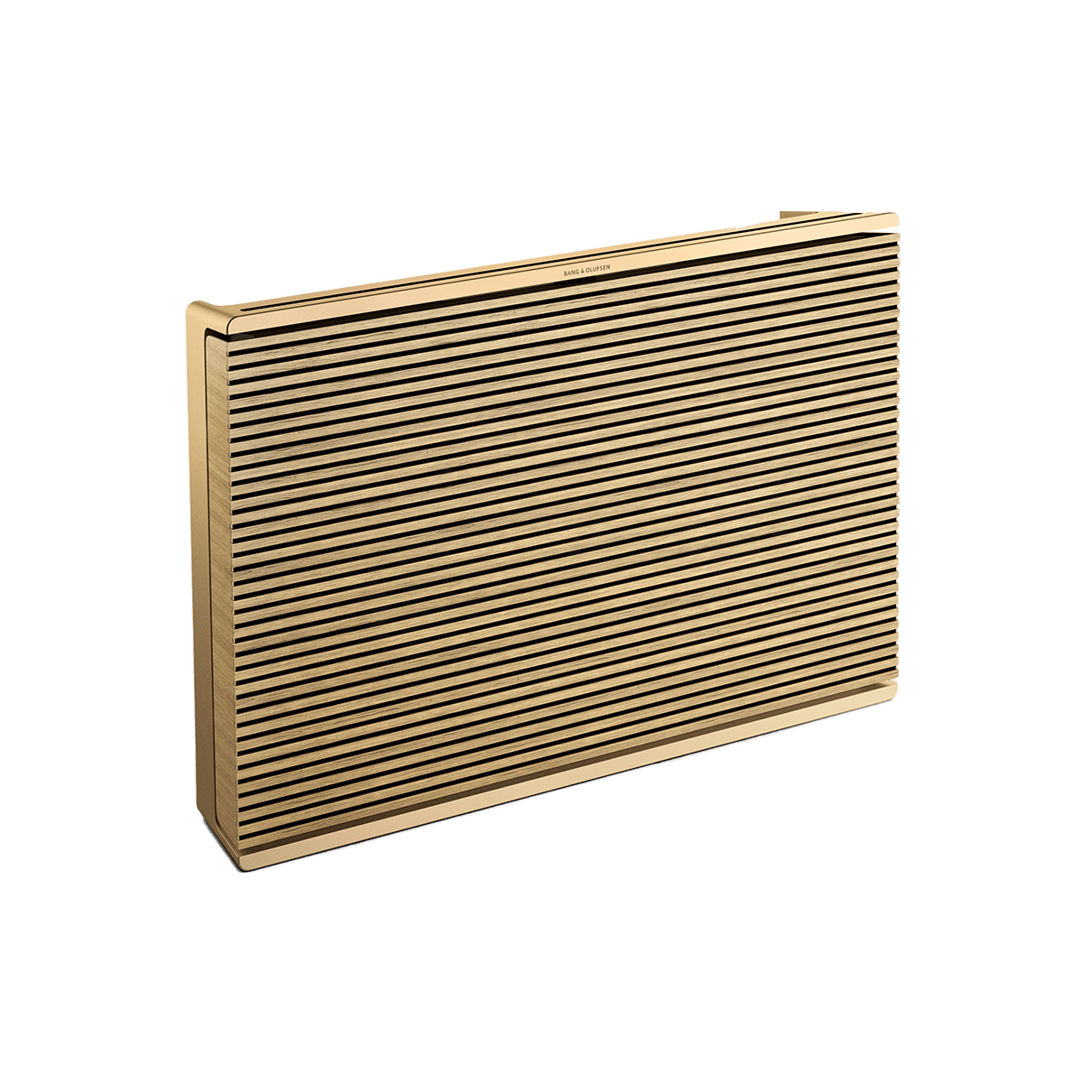 Bang & Olufsen Beosound Level