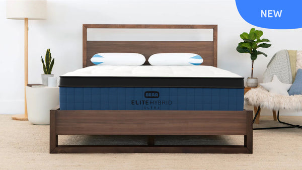 Bear Elite Ultra Hybrid King Medium
