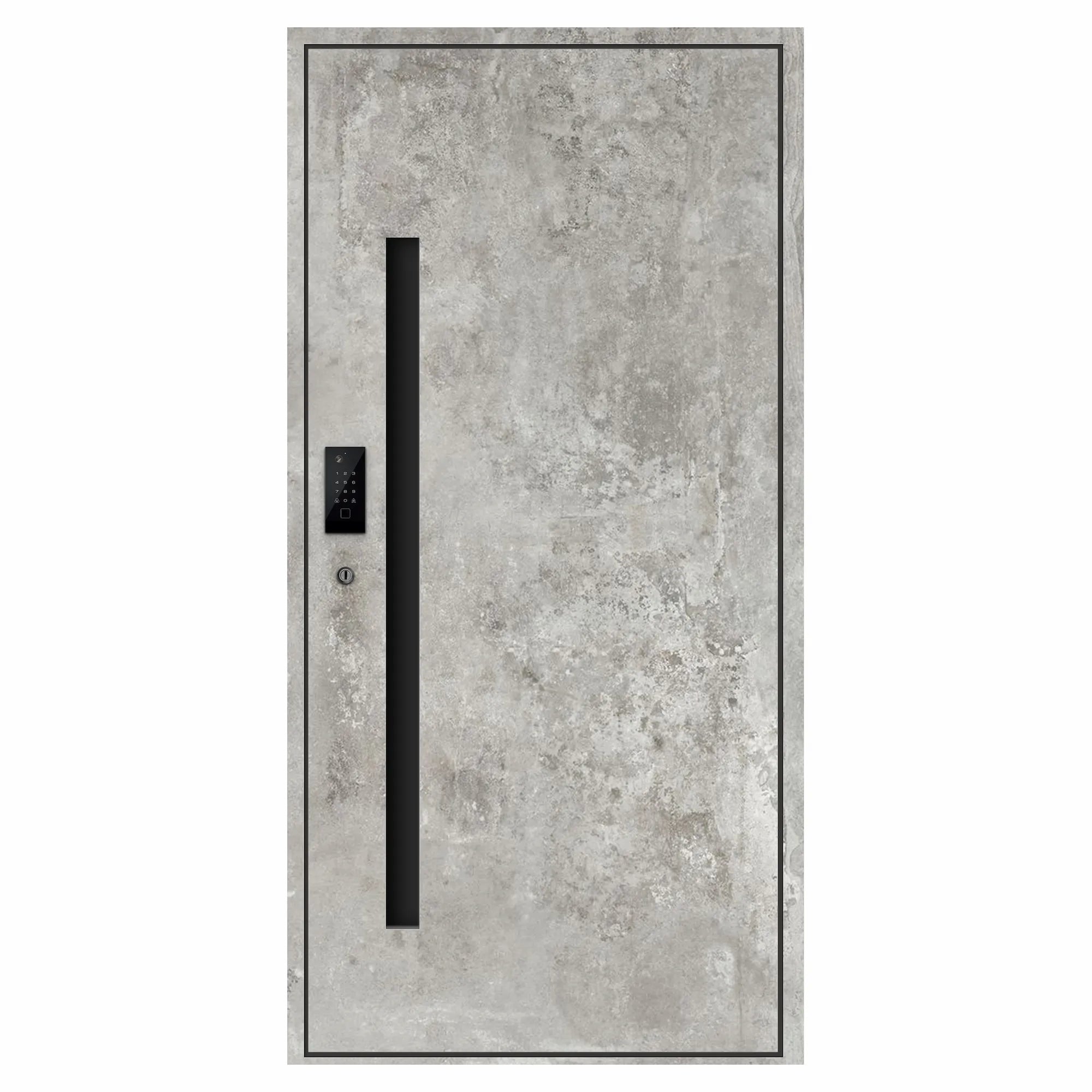 Native Doors Parallax Aluminum Entry Door