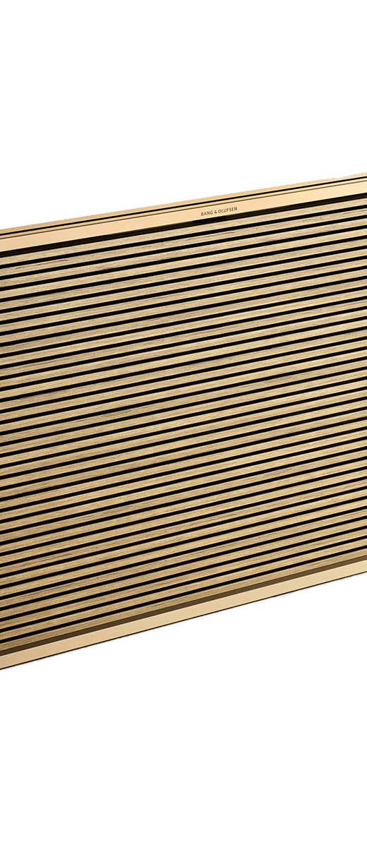 Bang & Olufsen Beosound Level