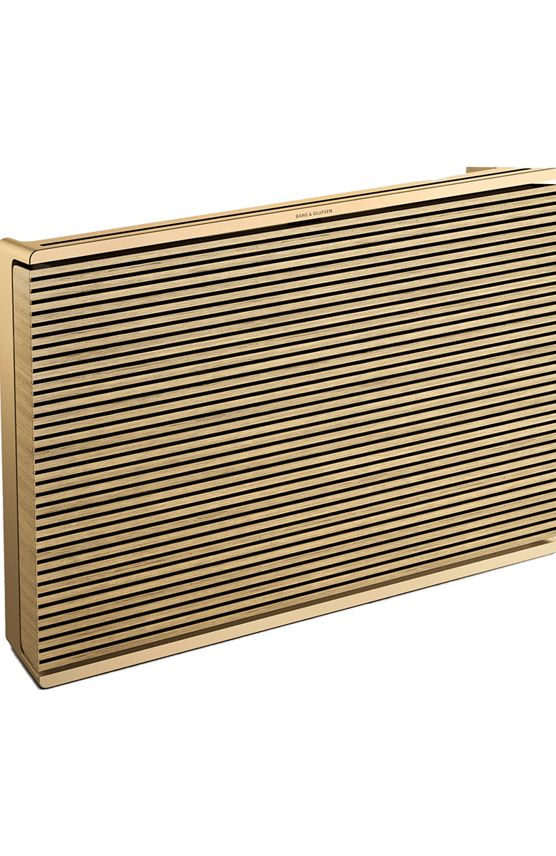 Bang & Olufsen Beosound Level