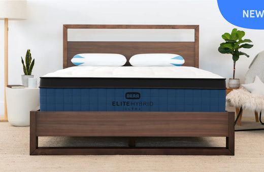 Bear Elite Ultra Hybrid King Medium