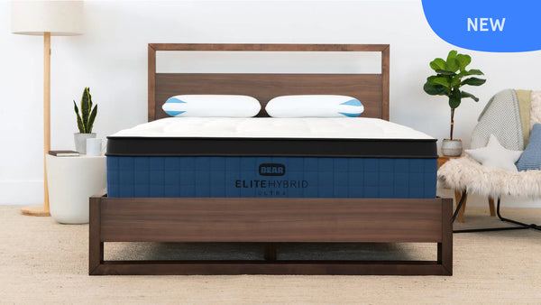 Bear Elite Ultra Hybrid King Medium