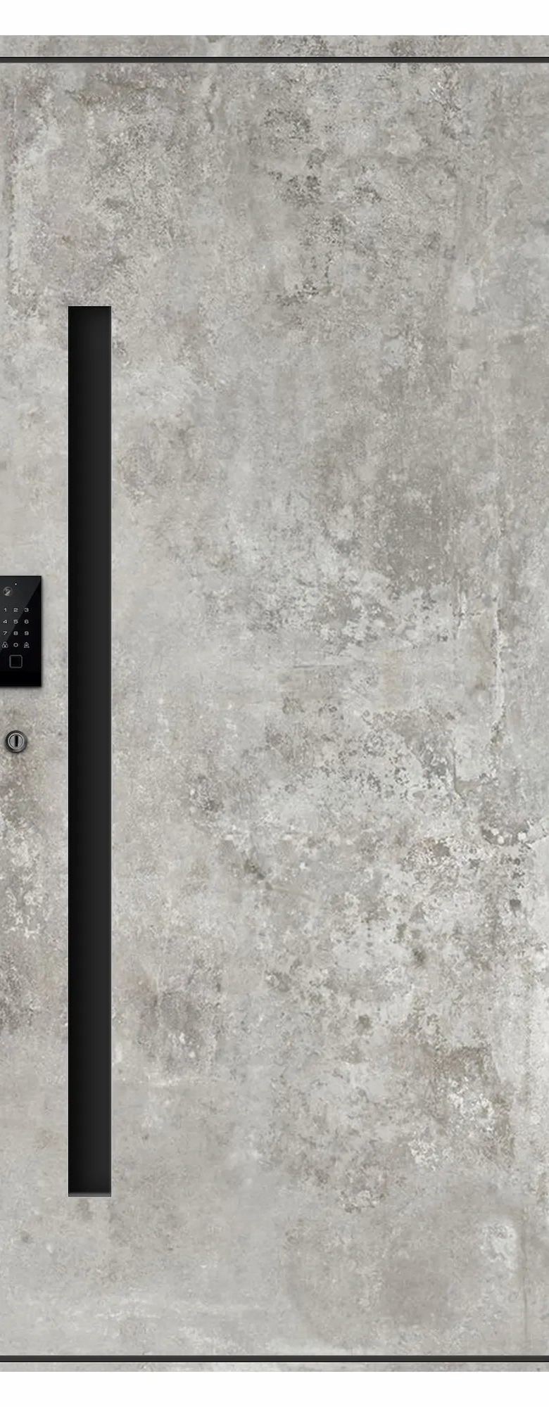 Native Doors Parallax Aluminum Entry Door